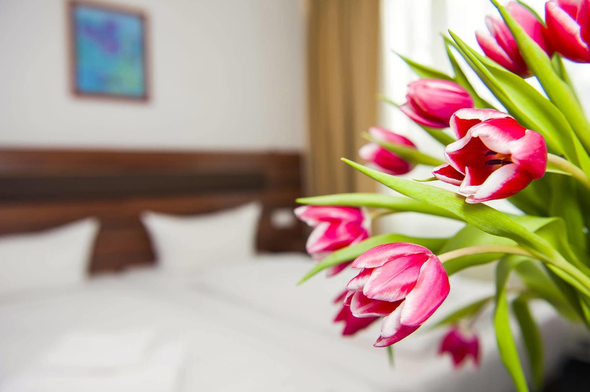 Aparthotel Christie Berlin Zewnętrze zdjęcie